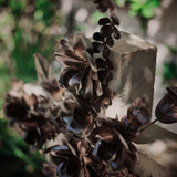 Cruz de Flores