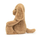 Jellycat - Plush - Bashful Toffee Puppy