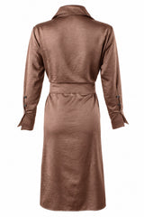 Hudson Dress in Tan view 3