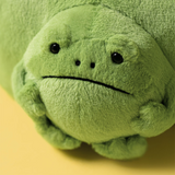 Ricky Rain Frog Pouch by Jellycat view 2