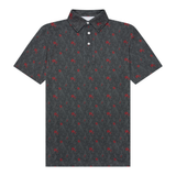 Traditions Polo in Desert Bloom