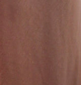 Hudson Dress in Tan view 4