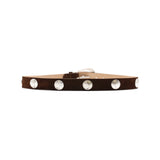 Harriet Belt in chocolate suede with silver coin conchos, back view