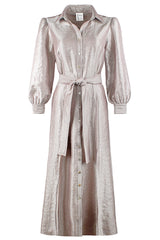 Carrie Shirt Dress in Platinum Soft Metallic view 2