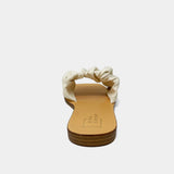 Shushop - Belinda Bone