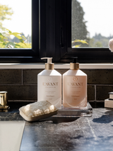 L’avant Collective - High Performing Dish Soap Blushed