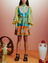 Balloon Sleeve Print Mini Dress: MULTI / M