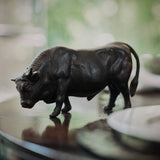 Toro Bravo