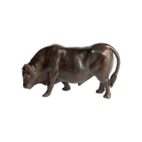 Toro Bravo