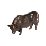 Toro Bravo