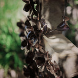 Cruz de Flores