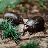 Armadillo