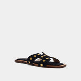 Shushop - Donatella Black