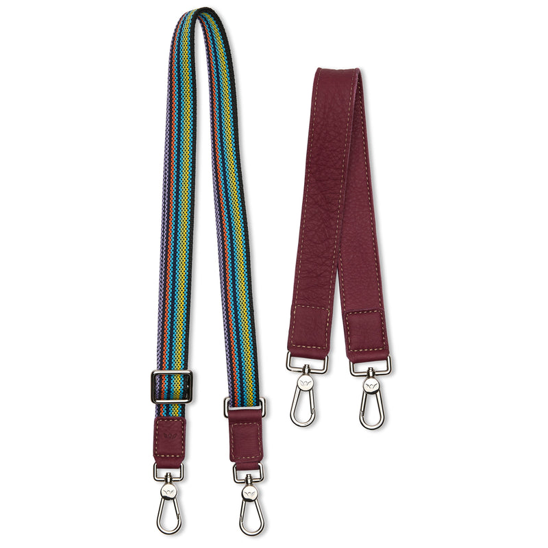 Consuela - Explorer - Rose