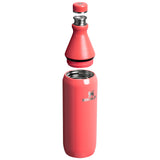 All Day Slim Bottle 20 oz in Hot Coral Gloss by Stanley