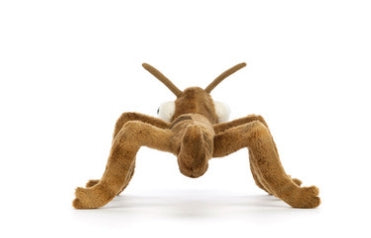 Jellycat - Plush - Stanley Stick Insect