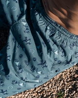 Waterloo Swim Shorts in Badlands view 5