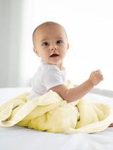 Luxe Macaron Collection Baby & Toddler Blanket (29" x 35"): Rosewater