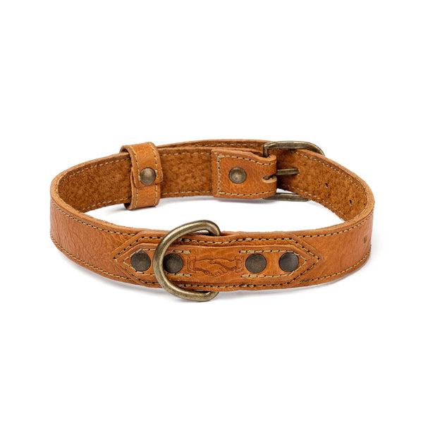 Campaign - Collection - Leather Dog Collar - Oak