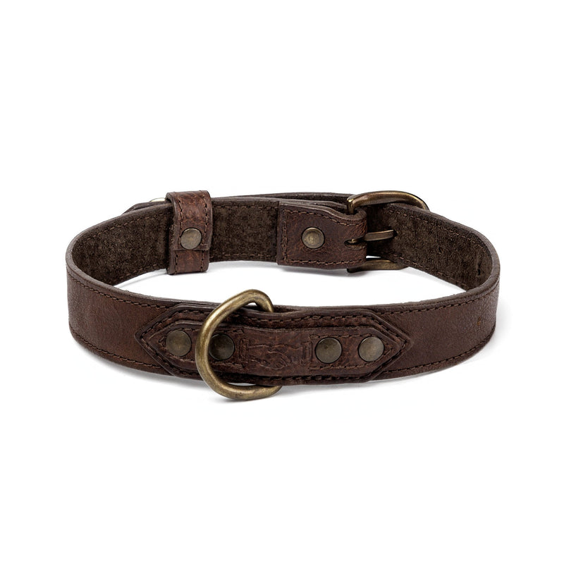 Campaign - Collection - Leather Dog Collar - Smoke