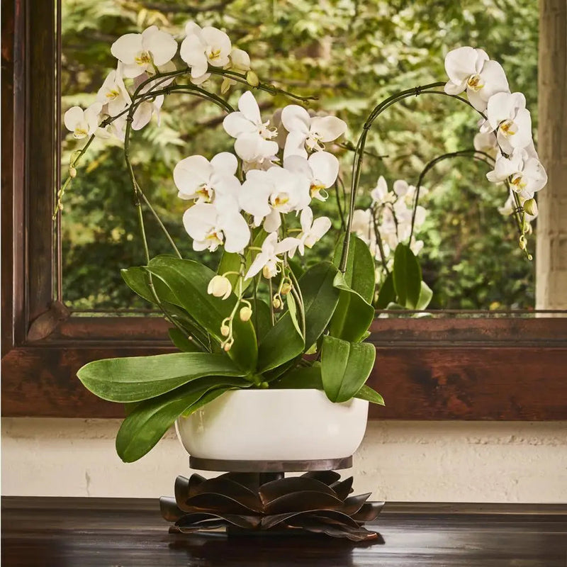 Jan Barboglio - Decorative - Rosa Laurel Bowl